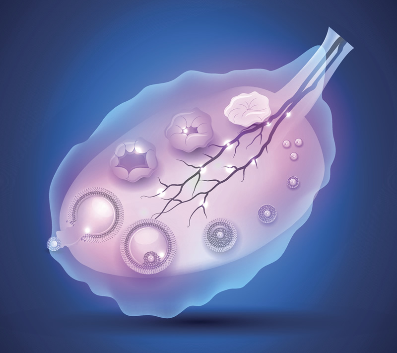 2026年长春试管婴儿医院口碑精选：吉大一院、吉大二院等3家公立医院实力解析，附费用明细参考